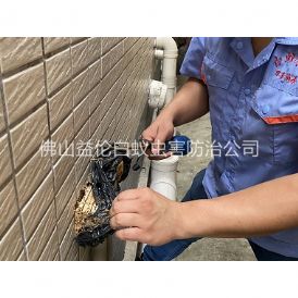 禅城建筑灭治白蚁工程