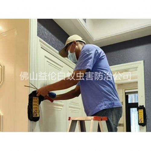 南庄镇住宅白蚁防治工程