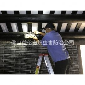 张槎祠堂杀灭白蚁工程
