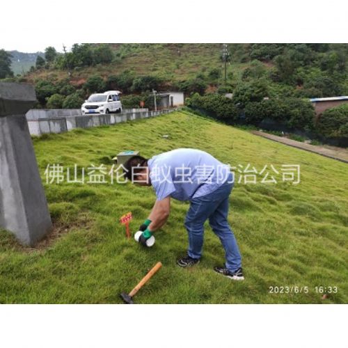 佛山水利工程红火蚁防治