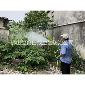 张槎社区消灭蚊子工程