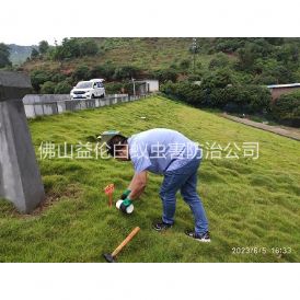 佛山水利工程红火蚁防治