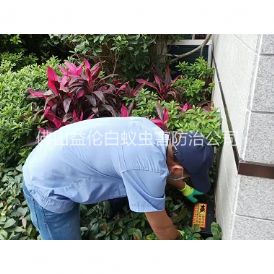 禅城住宅环境灭鼠工程