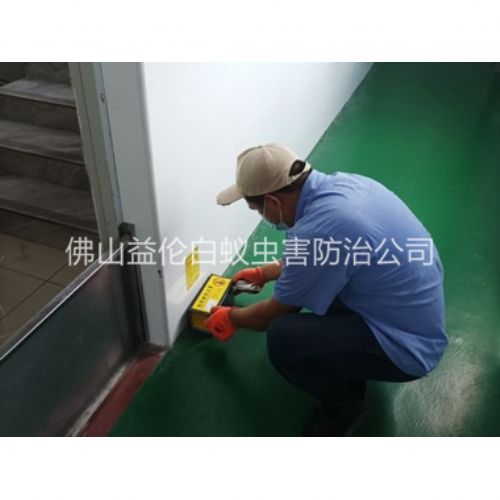 禅城工厂车间室内布置粘鼠板工程
