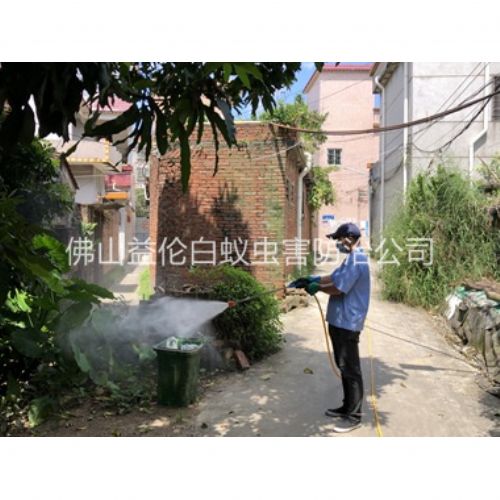 祖庙灭蚊预防“两热”工程