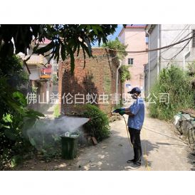 祖庙灭蚊预防“两热”工程